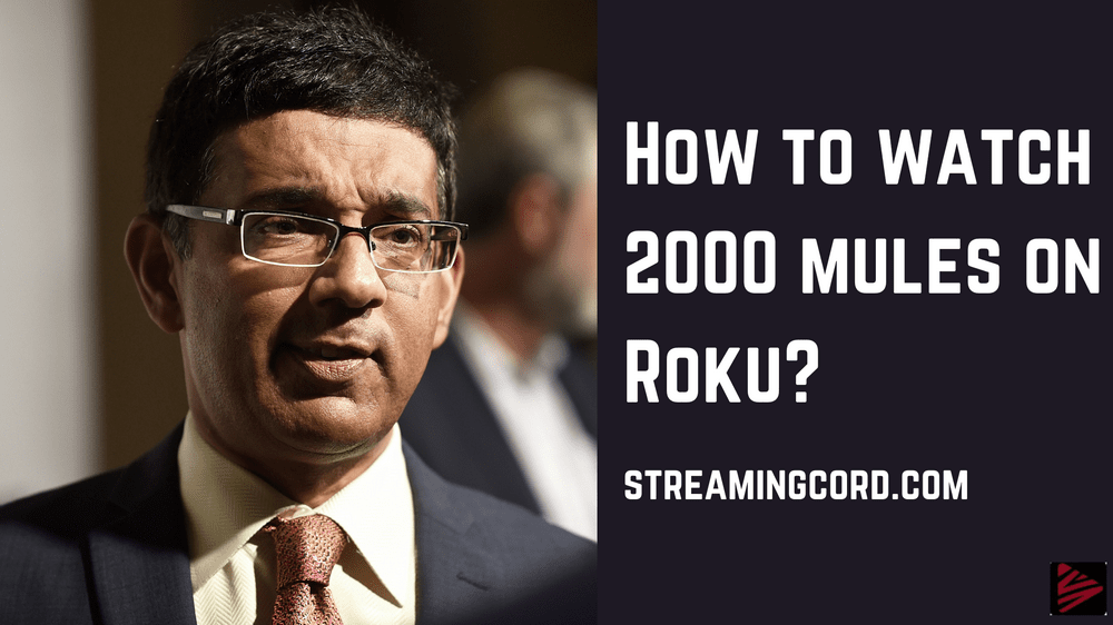 How to watch 2000 mules on Roku