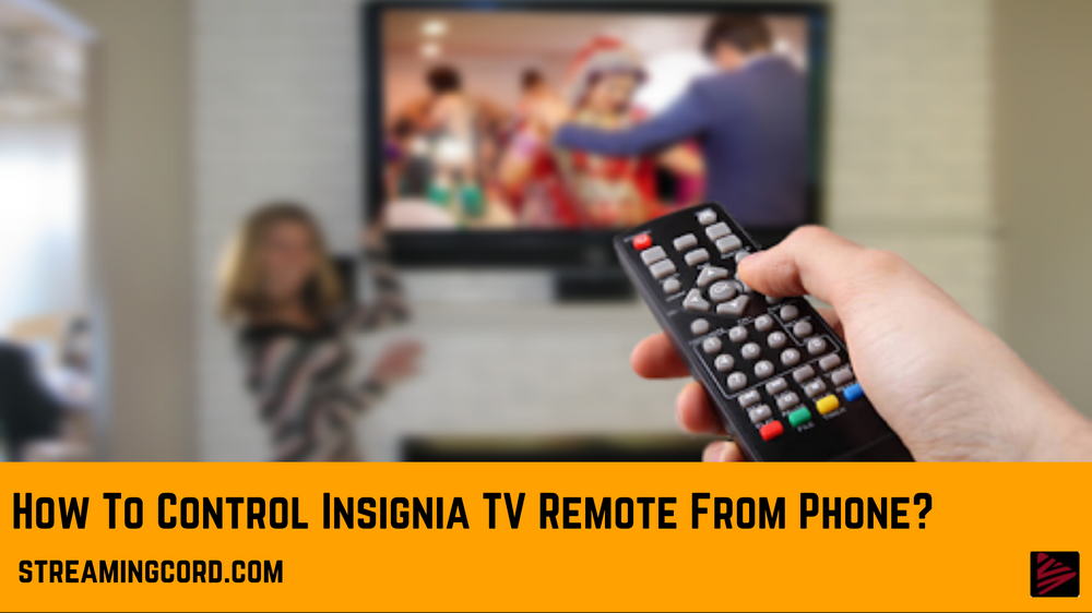Insignia TV Remote