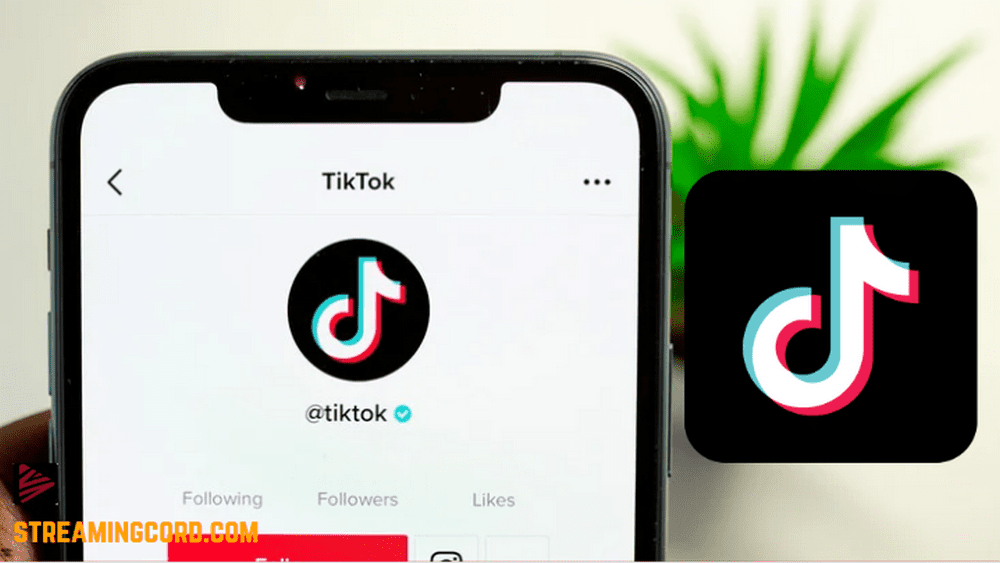 Most Viewed Tiktok Video